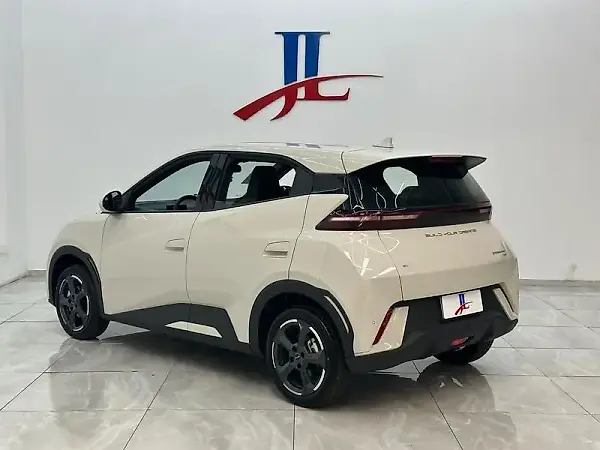 BYD Dolphin - Imagem 4