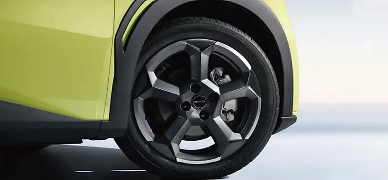 BYD Dolphin Mini - Imagem 11