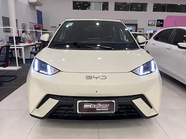 BYD Dolphin Mini - Imagem 19