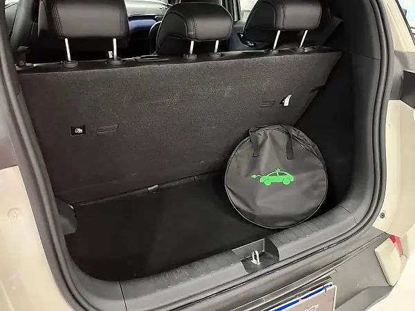 BYD Dolphin Mini - Imagem 18