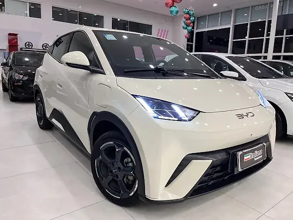 BYD Dolphin Mini - Imagem 20