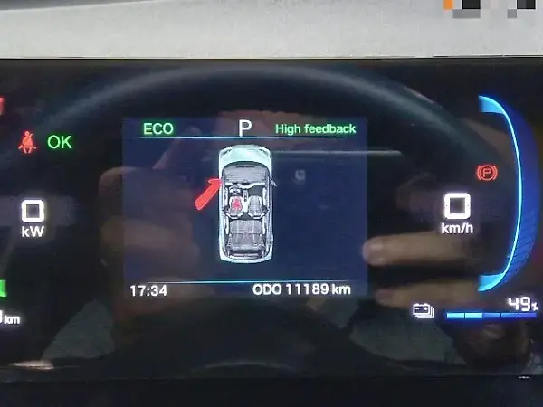 BYD Dolphin Mini - Imagem 13