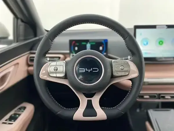 BYD Dolphin Mini - Imagem 9