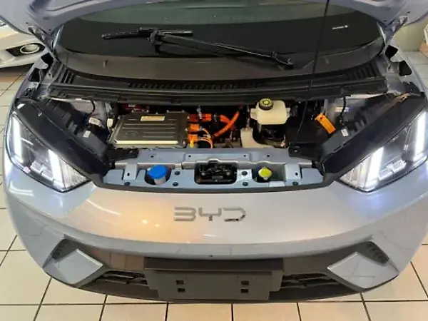 BYD Dolphin Mini - Imagem 12