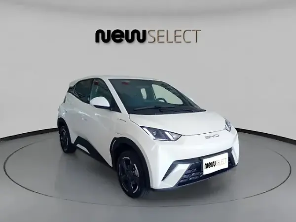 BYD Dolphin Mini - Imagem 8