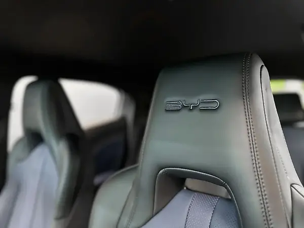 BYD Dolphin Mini - Imagem 15