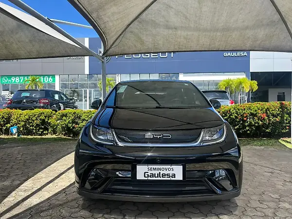 BYD Dolphin - Imagem 2