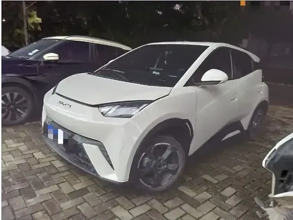 BYD Dolphin Mini - Imagem 3