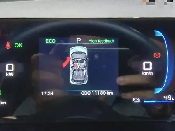 BYD Dolphin Mini - Imagem 11