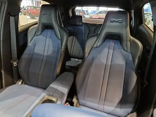BYD Dolphin Mini - Imagem 15