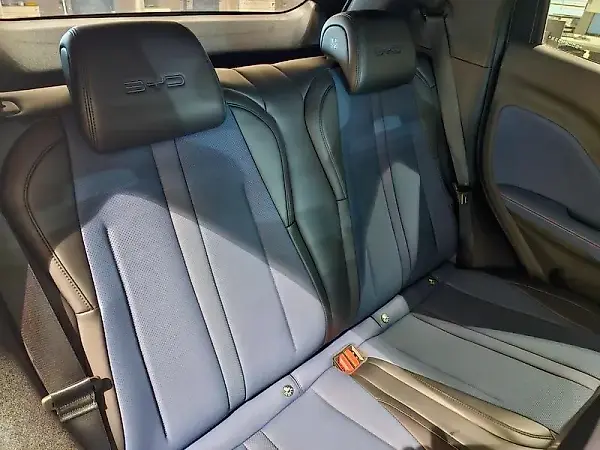 BYD Dolphin Mini - Imagem 17