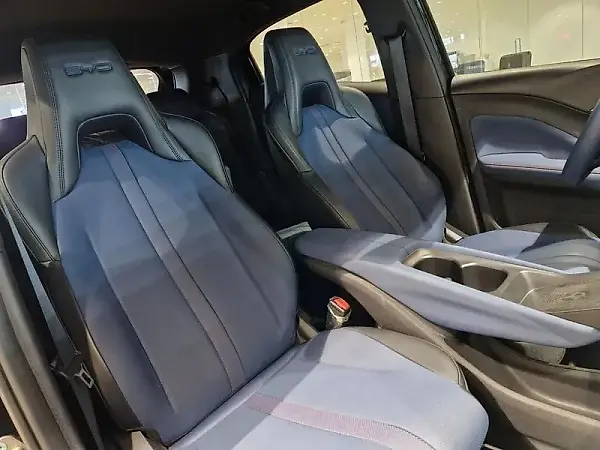 BYD Dolphin Mini - Imagem 16