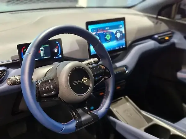 BYD Dolphin Mini - Imagem 9