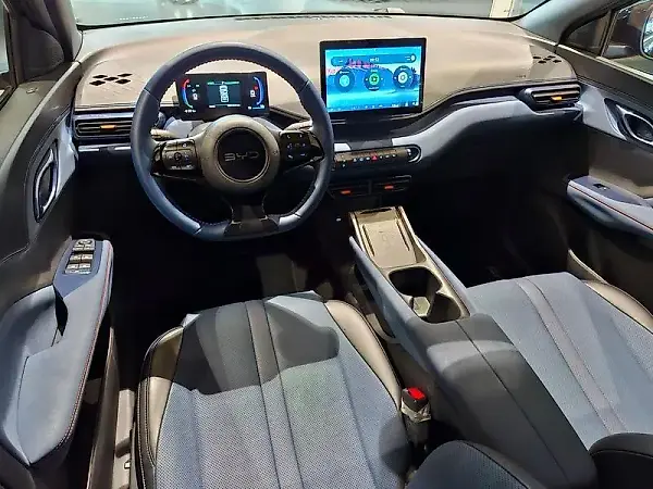 BYD Dolphin Mini - Imagem 13