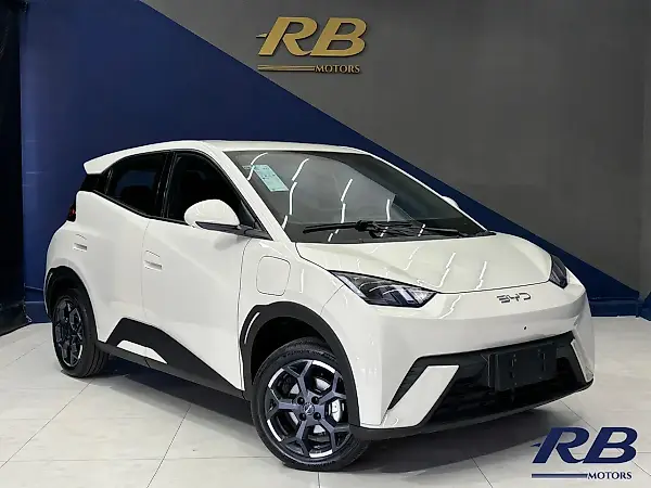 BYD Dolphin Mini - Imagem 9