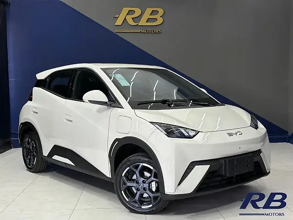 BYD Dolphin Mini - Imagem 1