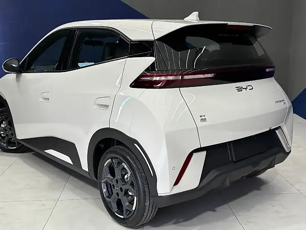 BYD Dolphin Mini - Imagem 13