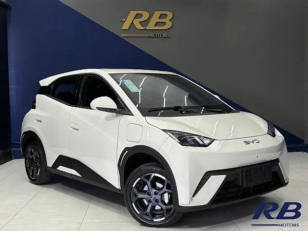 BYD Dolphin Mini - Imagem 11