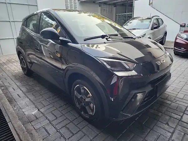 BYD Dolphin Mini - Imagem 19