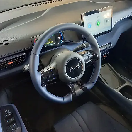 BYD Dolphin Mini - Imagem 12