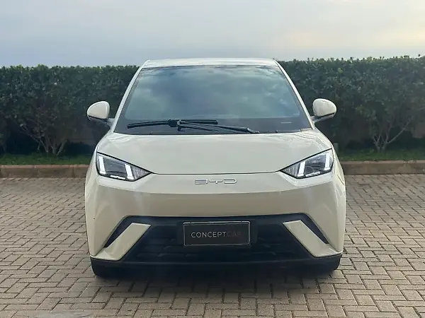 BYD Dolphin Mini - Imagem 2