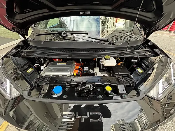 BYD Dolphin Mini - Imagem 16