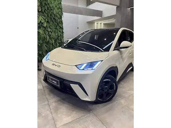 BYD Dolphin - Imagem 14
