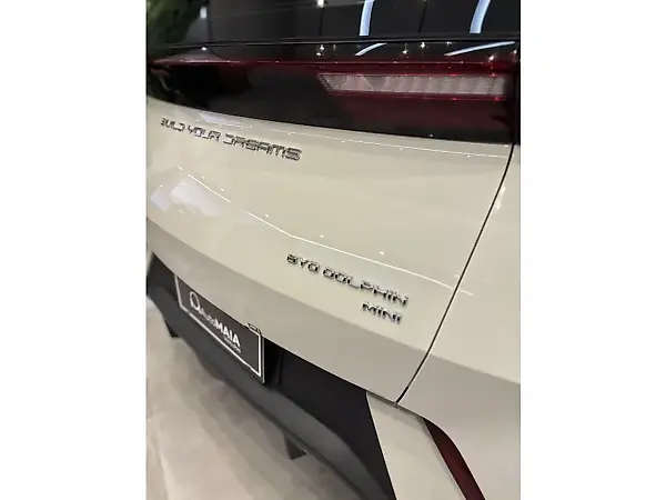 BYD Dolphin - Imagem 18