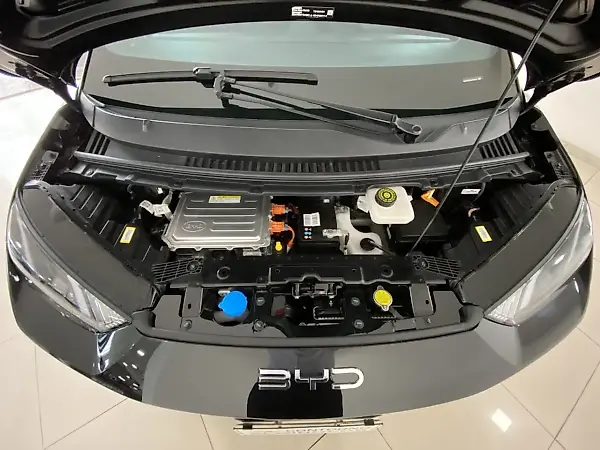 BYD Dolphin Mini - Imagem 13