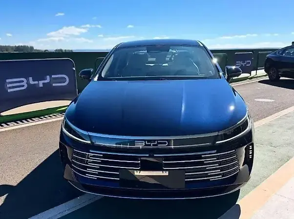 BYD King - Imagem 1