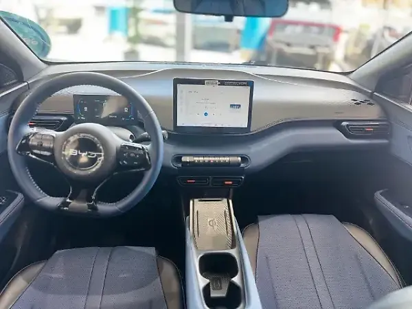 BYD Dolphin Mini - Imagem 15