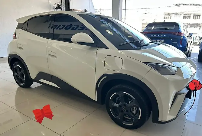 BYD Dolphin Mini - Imagem 6