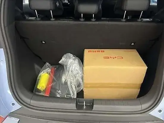 BYD Dolphin Mini - Imagem 12