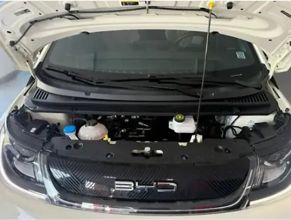 BYD Dolphin - Imagem 7