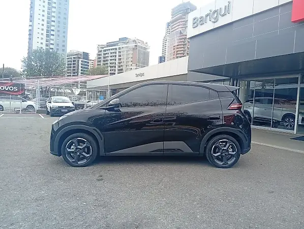 BYD Dolphin Mini - Imagem 4
