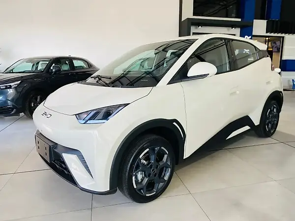 BYD Dolphin - Imagem 1