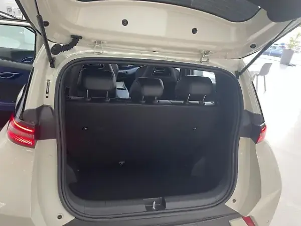 BYD Dolphin Mini - Imagem 9