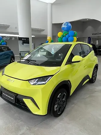 BYD Dolphin Mini - Imagem 1