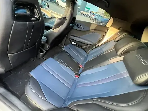 BYD Dolphin Mini - Imagem 12