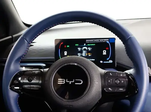 BYD Dolphin Mini - Imagem 10