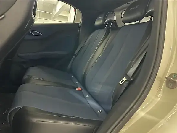 BYD Dolphin Mini - Imagem 18