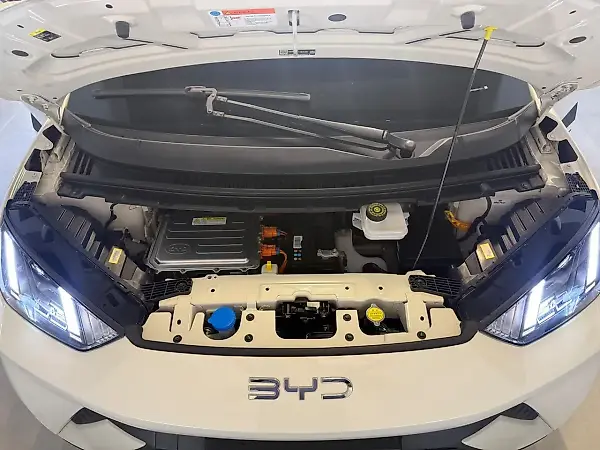 BYD Dolphin Mini - Imagem 14