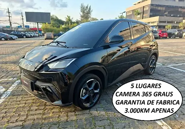 BYD Dolphin Mini - Imagem 1