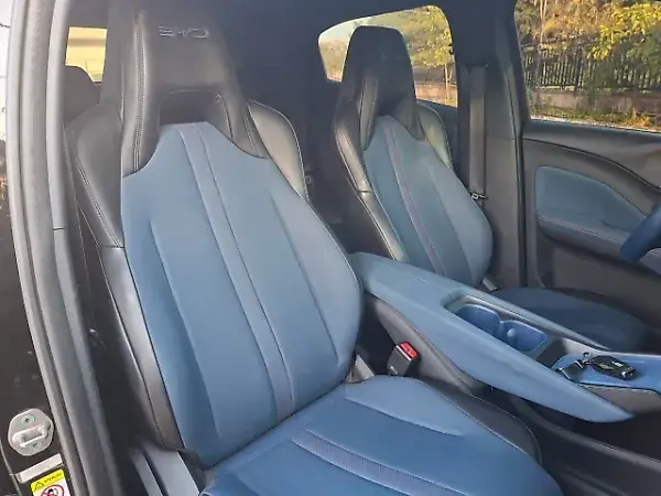 BYD Dolphin Mini - Imagem 14