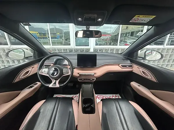 BYD Dolphin Mini - Imagem 8
