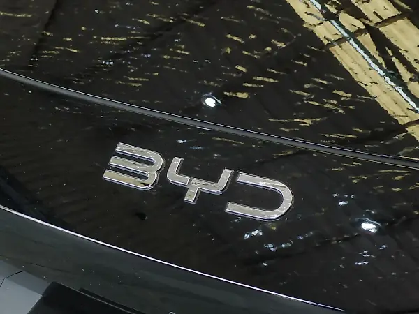 BYD Dolphin Mini - Imagem 14