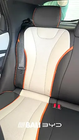 BYD Dolphin - Imagem 6