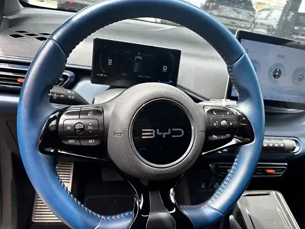 BYD Dolphin Mini - Imagem 10
