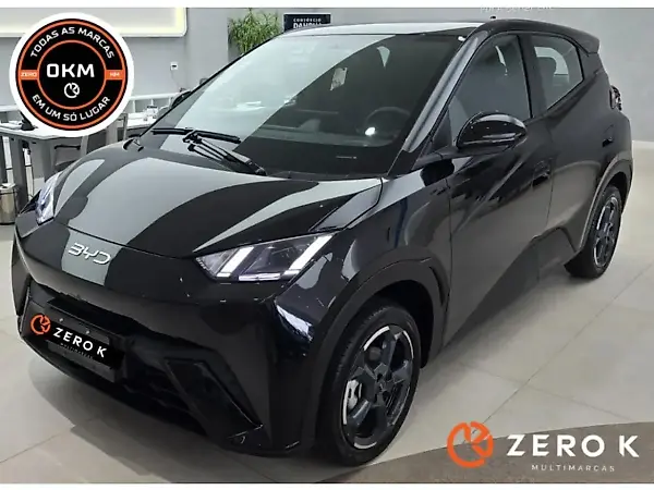 BYD Dolphin Mini - Imagem 2