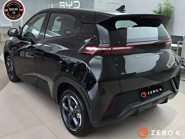 BYD Dolphin Mini - Imagem 6